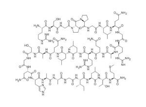 Orexin Molecule